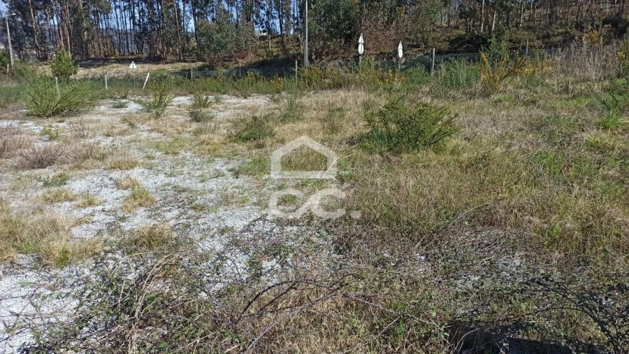 Terreno para Venda em Fafe Foto 6