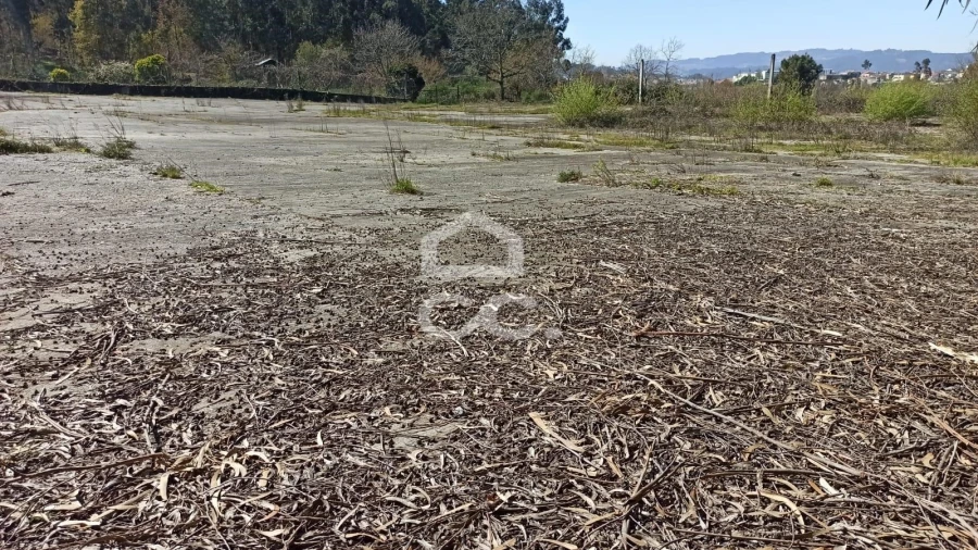 Terreno para Venda em Fafe Foto 15
