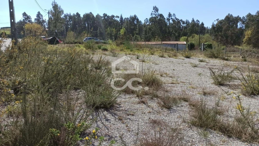 Terreno para Venda em Fafe Foto 16