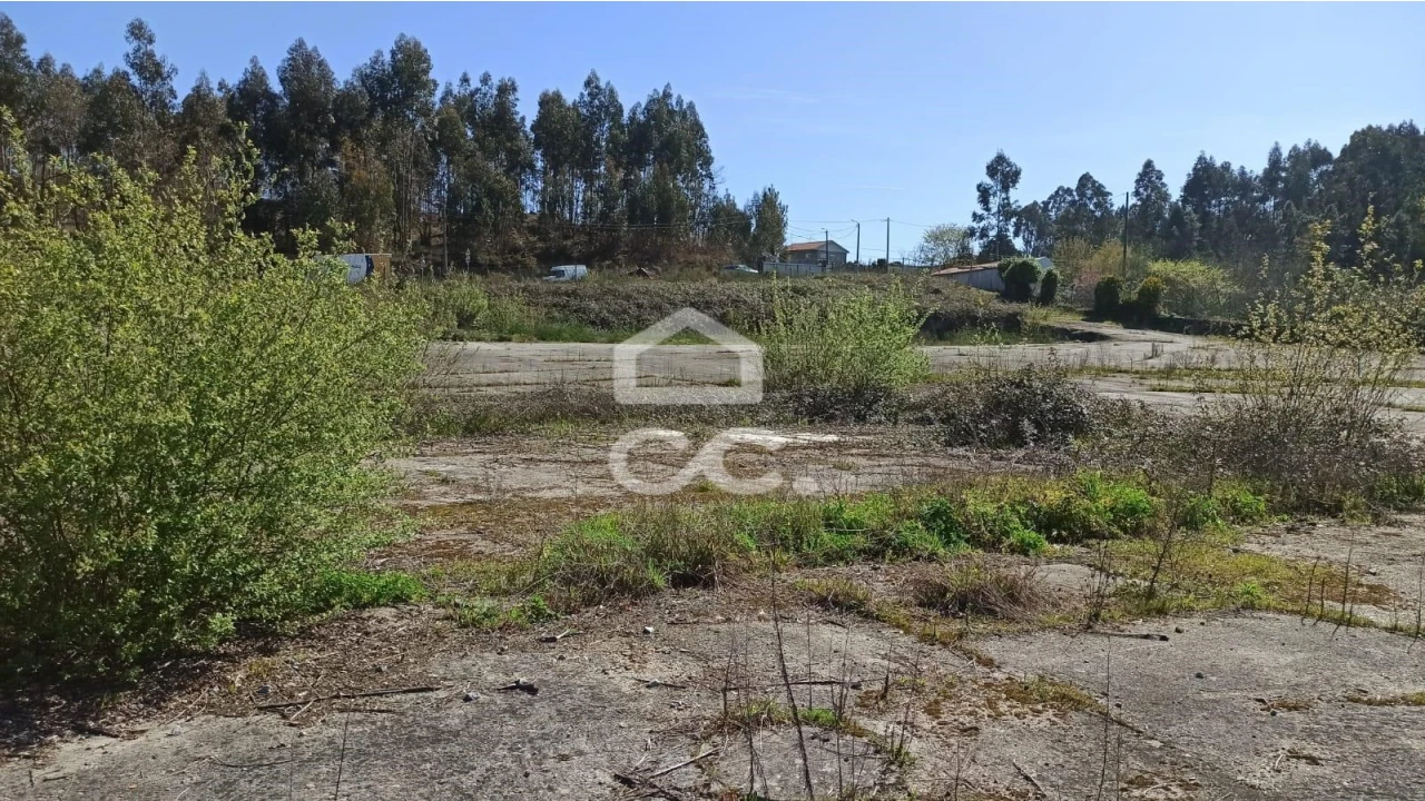 Terreno para Venda em Fafe Foto 12