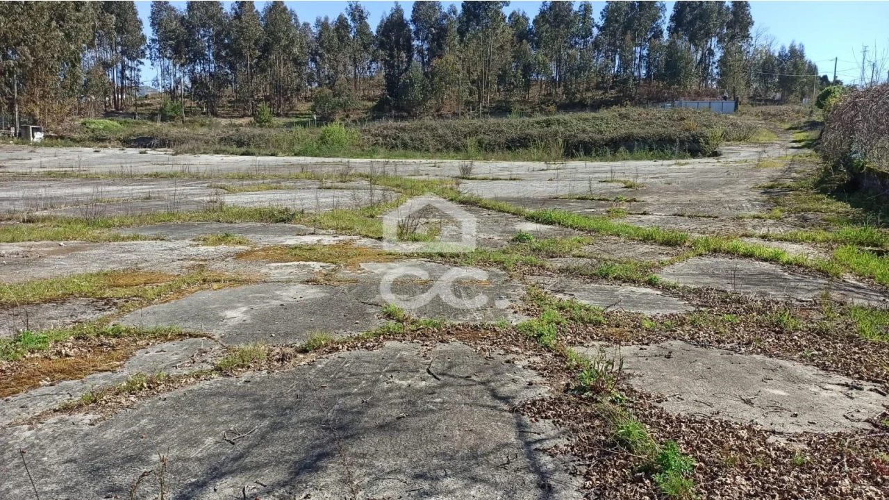 Terreno para Venda em Fafe Foto 10