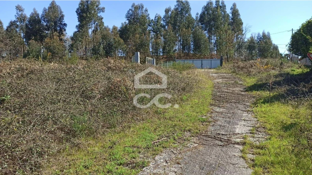 Terreno para Venda em Fafe Foto 8