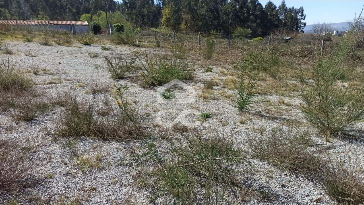Terreno para Venda em Fafe Foto 18