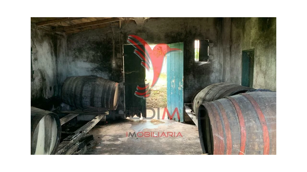 Terreno para Venda em Canhas Foto 10