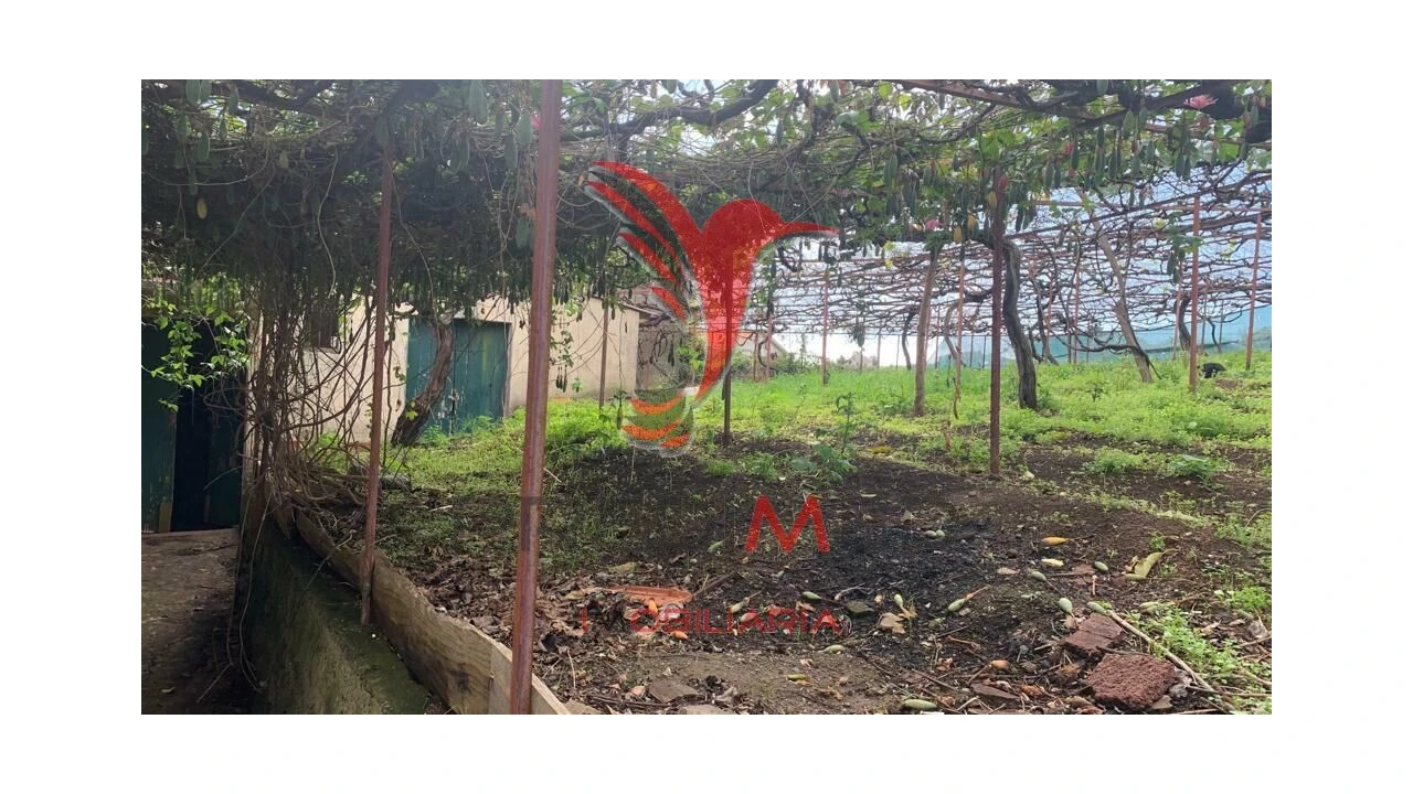 Terreno para Venda em Canhas Foto 15