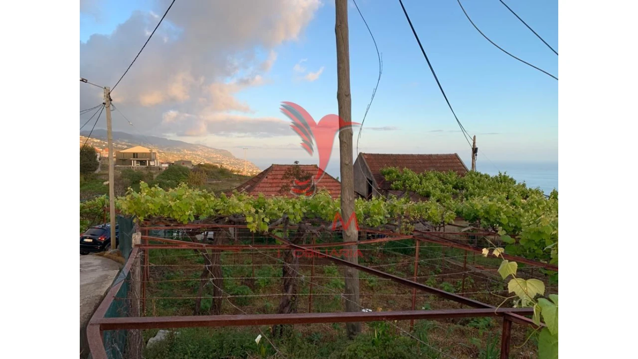Terreno para Venda em Canhas Foto 14