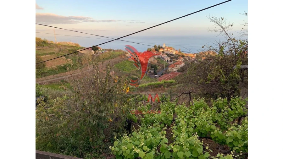 Terreno para Venda em Canhas Foto 17