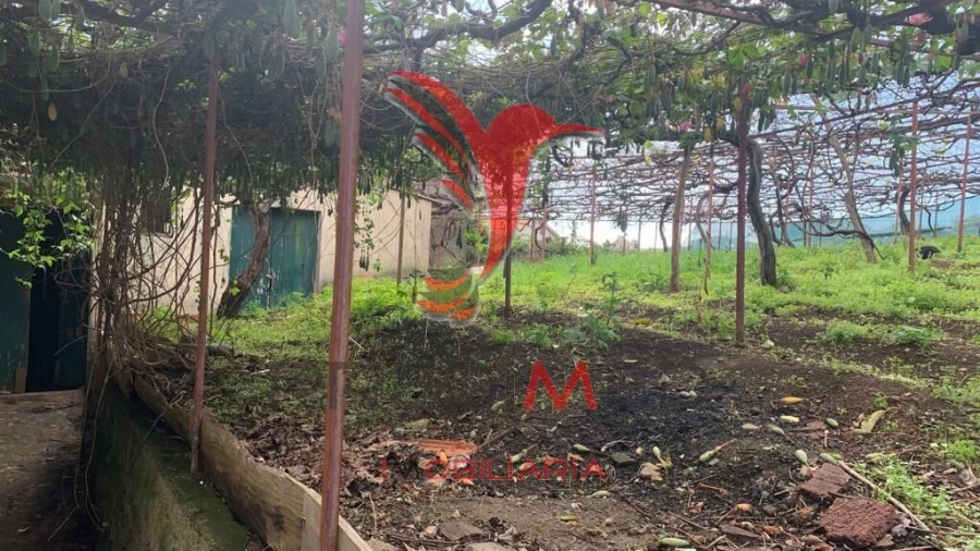 Terreno para Venda em Canhas Foto 15