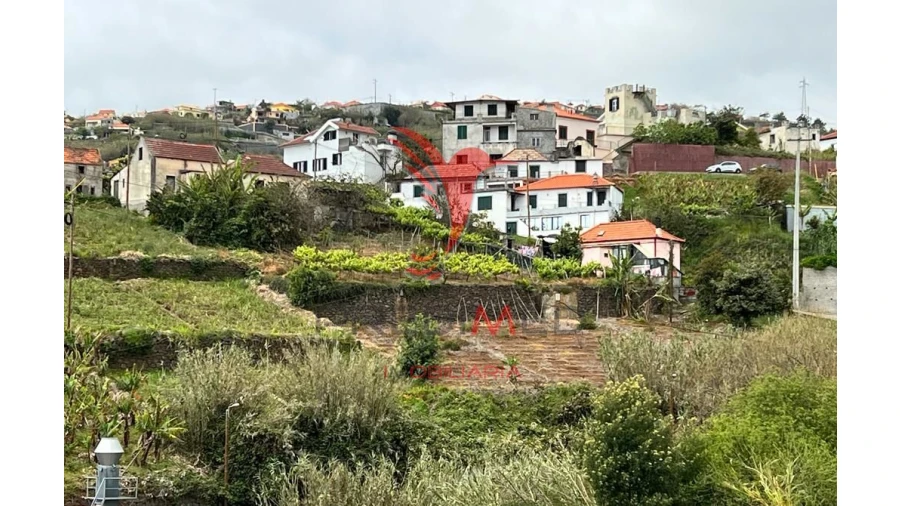 Terreno para Venda em Canhas