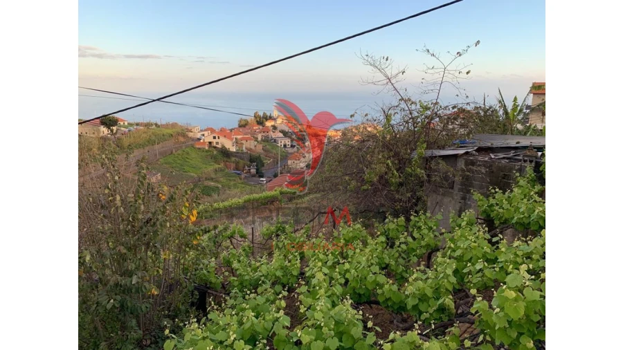Terreno para Venda em Canhas Foto 16