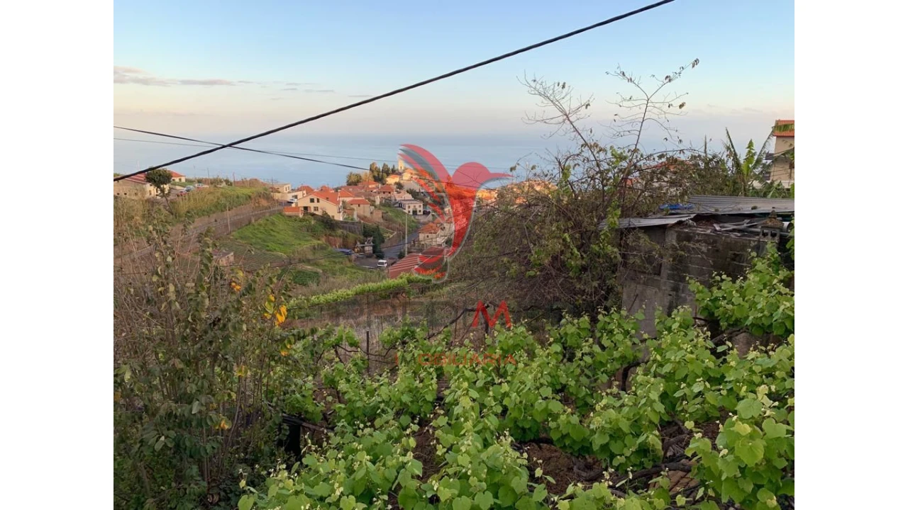Terreno para Venda em Canhas Foto 16