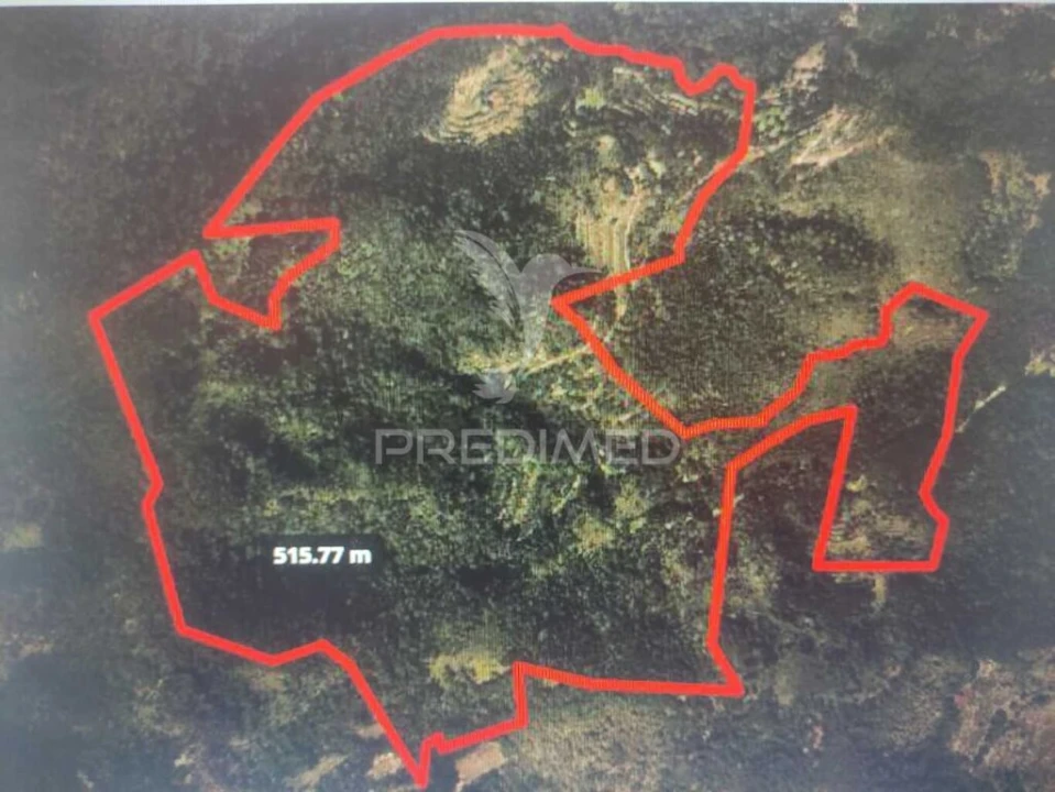 Terreno para Venda em Caniçal Foto 5