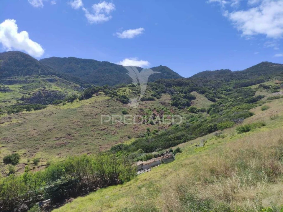 Terreno para Venda em Caniçal Foto 9