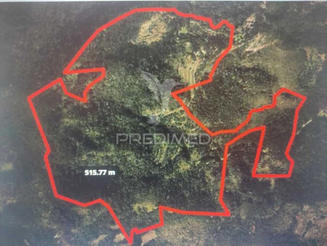 Terreno para Venda em Caniçal Foto 5