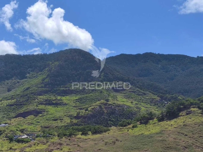 Terreno para Venda em Caniçal Foto 8