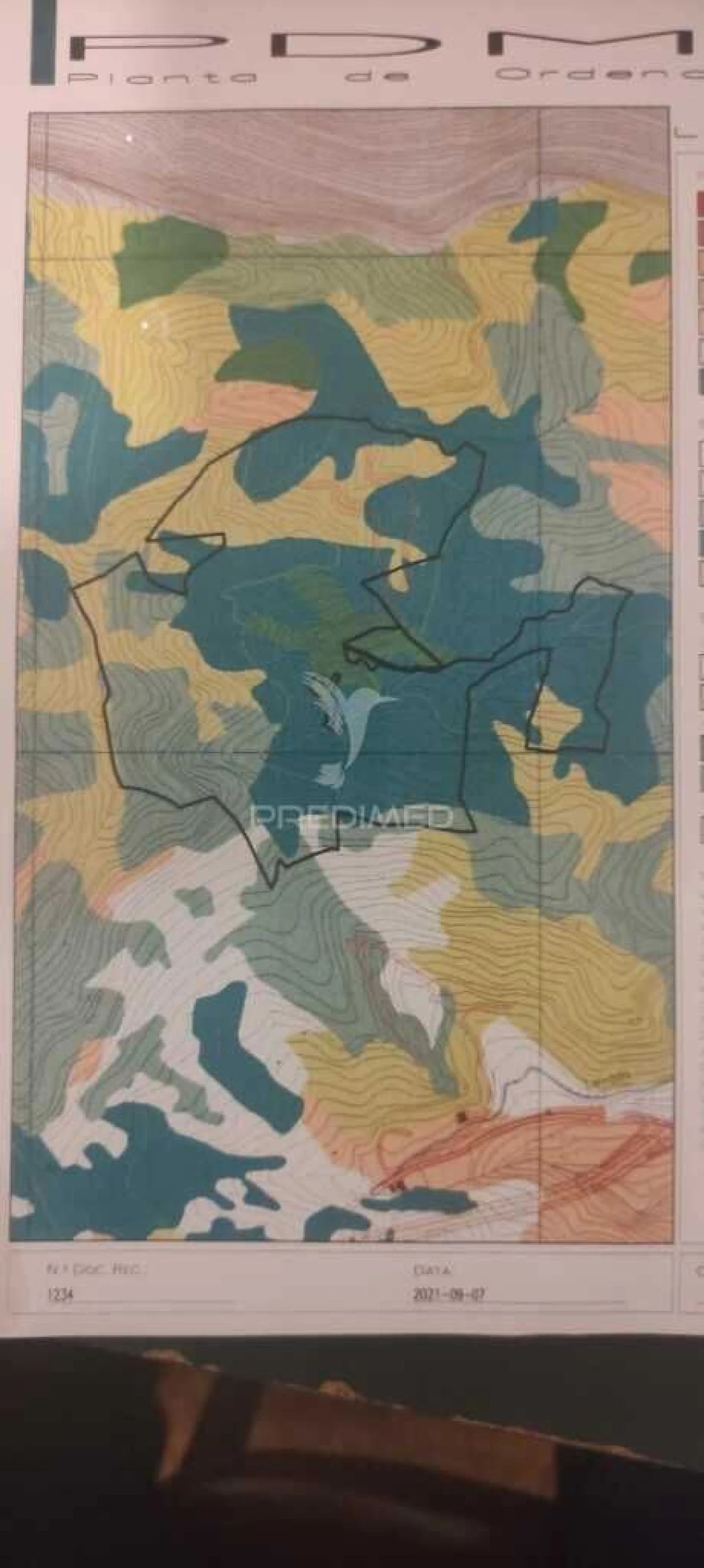 Terreno para Venda em Caniçal Foto 14