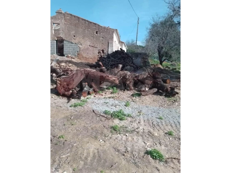 Quinta para Venda em Algoz e Tunes Foto 5