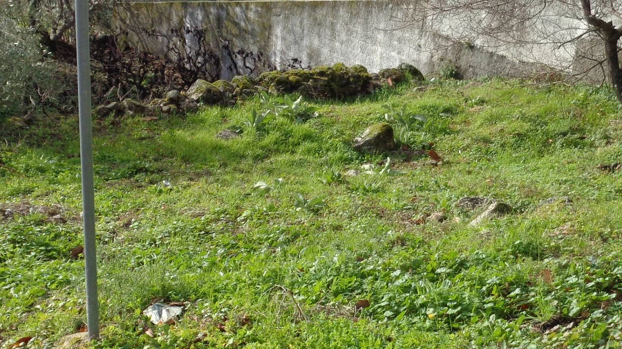 Terreno para Venda em Cantar-Galo e Vila do Carvalho