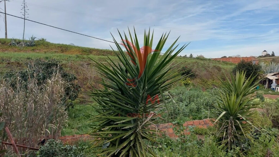 Armazém para Venda em Bensafrim e Barão de São João Foto 7