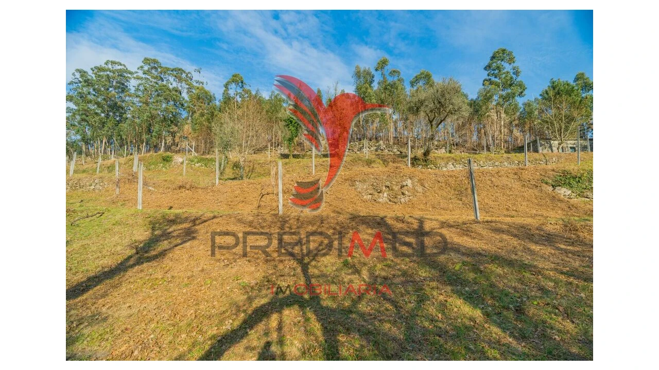 Terreno para Venda em Valdosende Foto 19