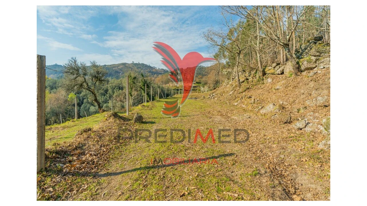 Terreno para Venda em Valdosende Foto 14