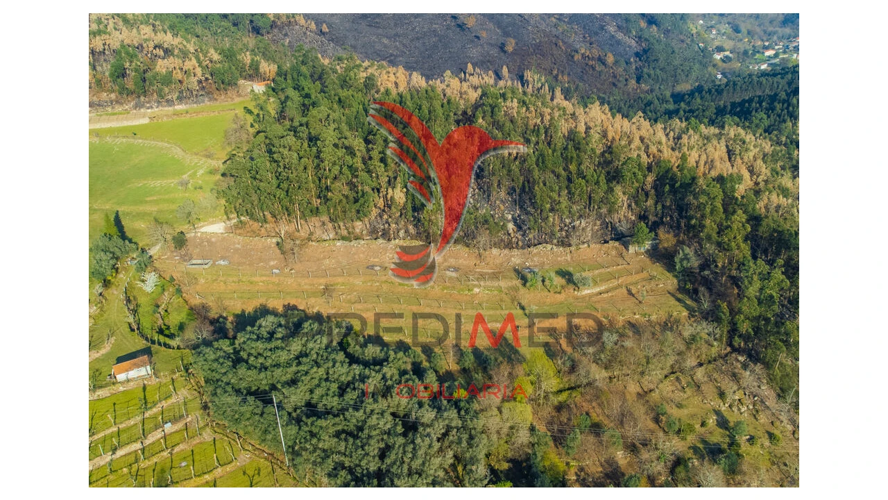 Terreno para Venda em Valdosende Foto 4