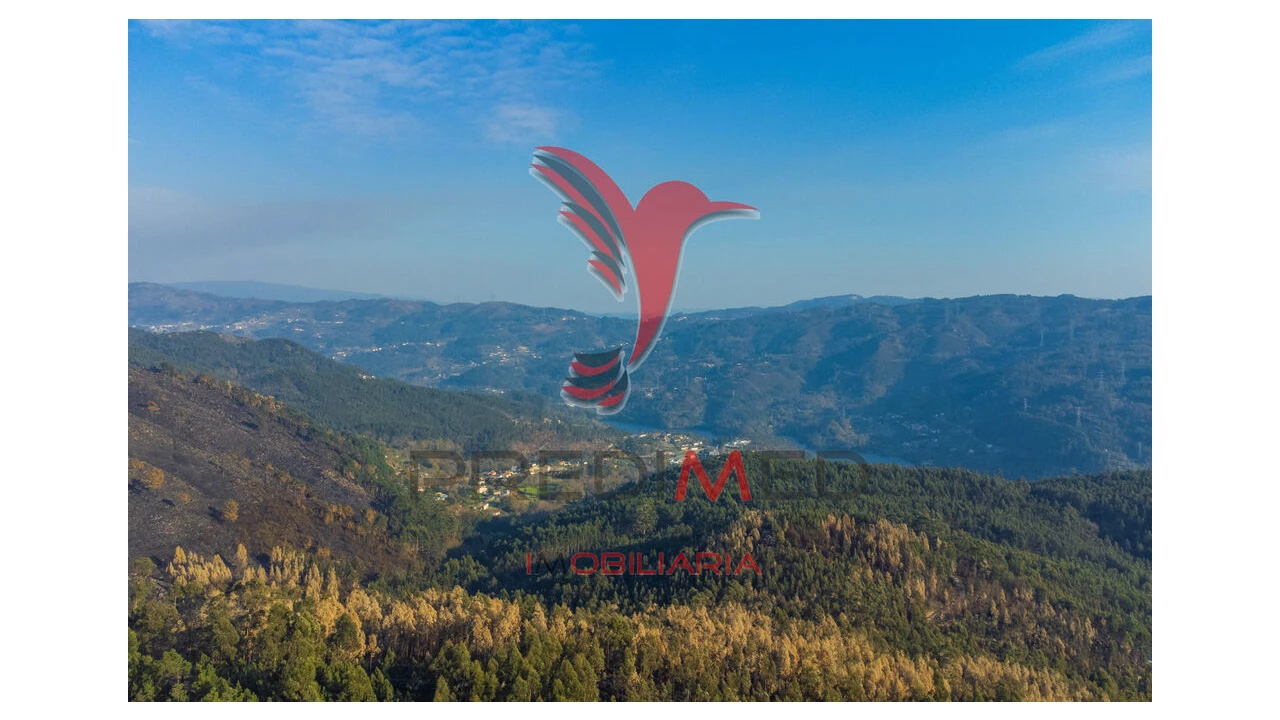 Terreno para Venda em Valdosende Foto 8