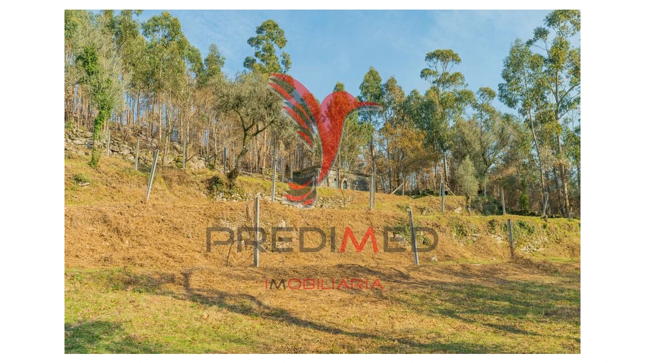 Terreno para Venda em Valdosende Foto 18