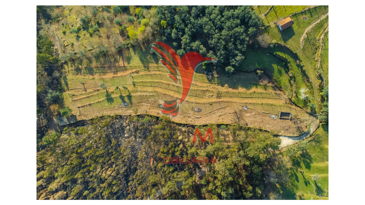 Terreno para Venda em Valdosende Foto 5