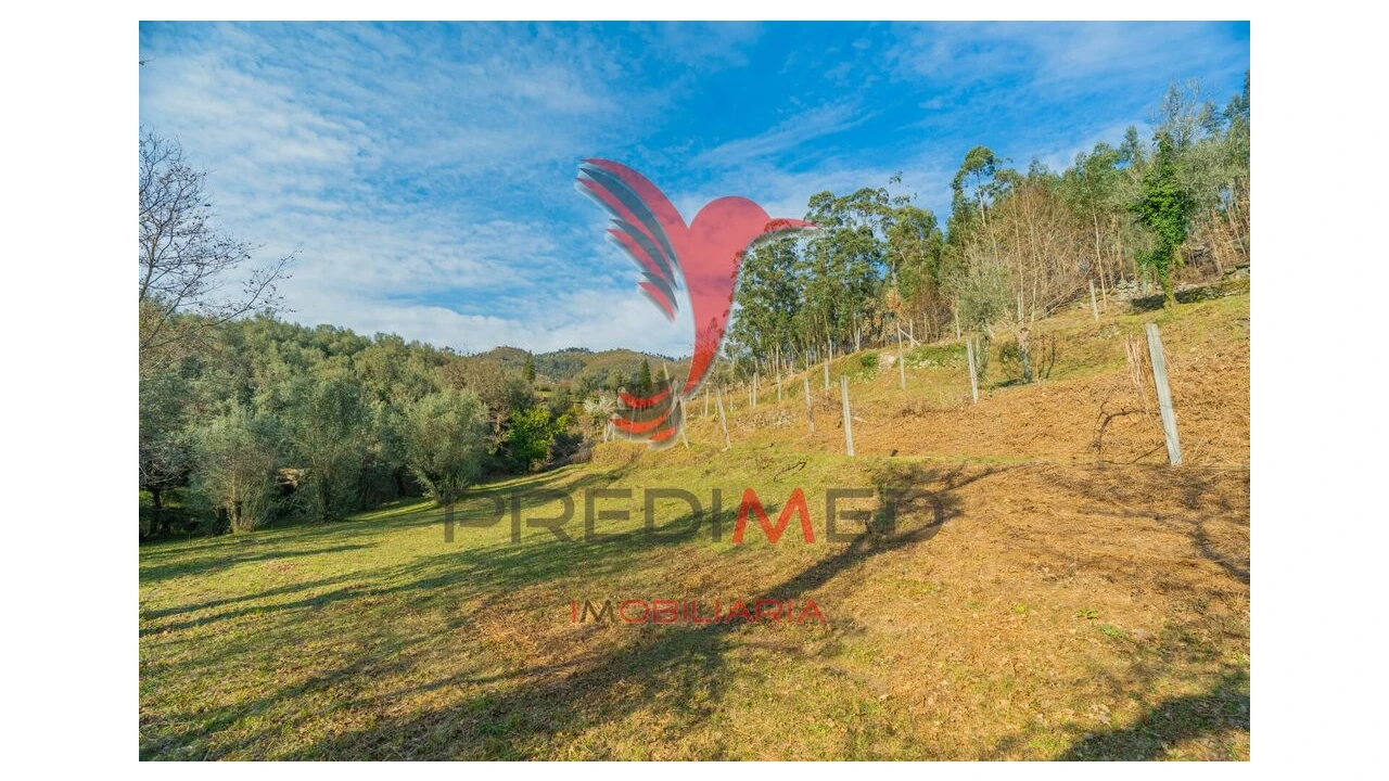 Terreno para Venda em Valdosende Foto 17