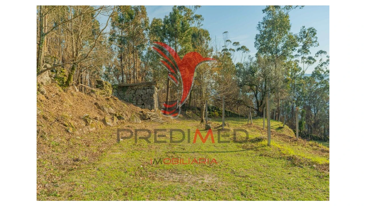 Terreno para Venda em Valdosende Foto 13