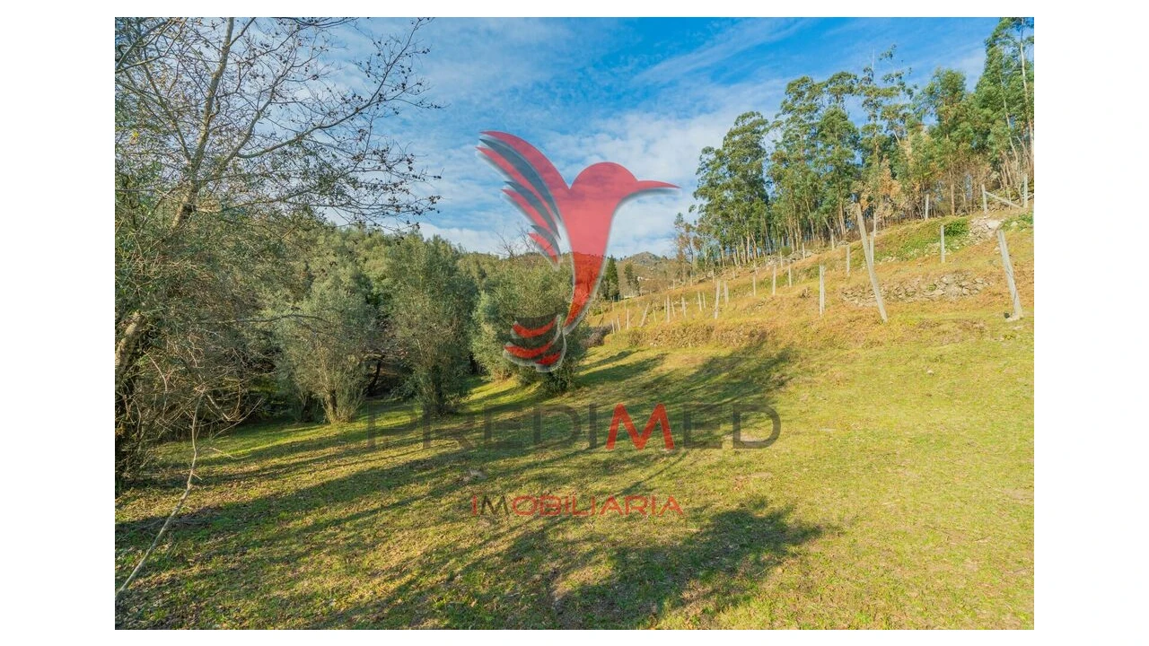 Terreno para Venda em Valdosende Foto 20
