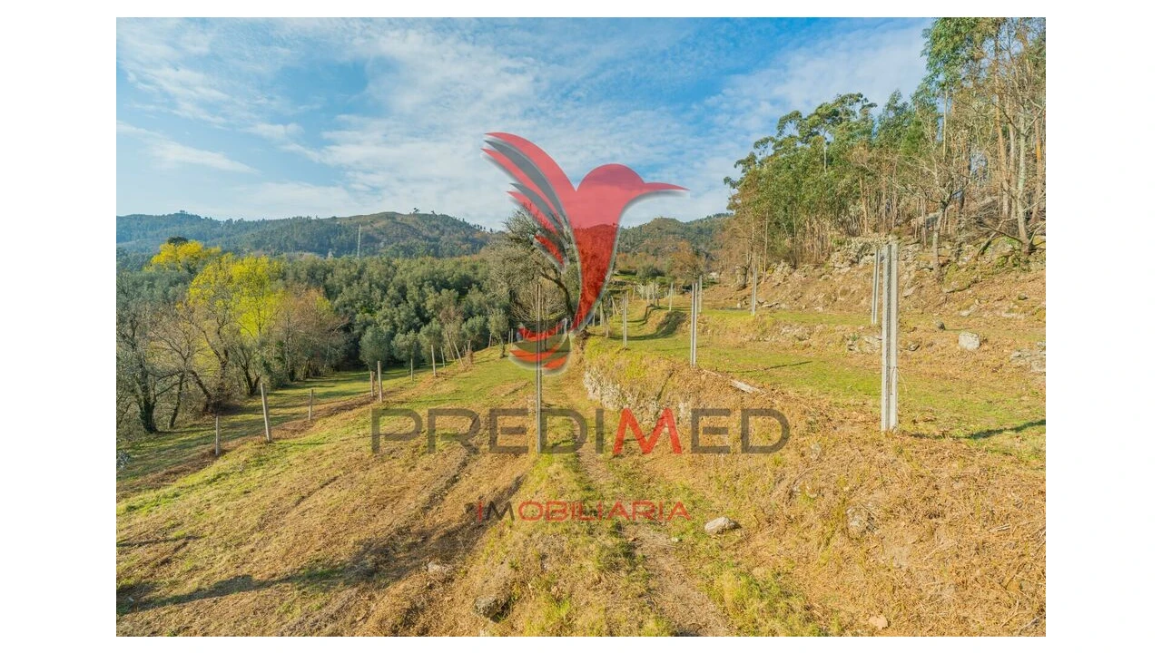 Terreno para Venda em Valdosende Foto 15