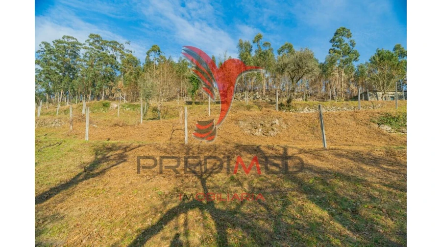 Terreno para Venda em Valdosende Foto 19