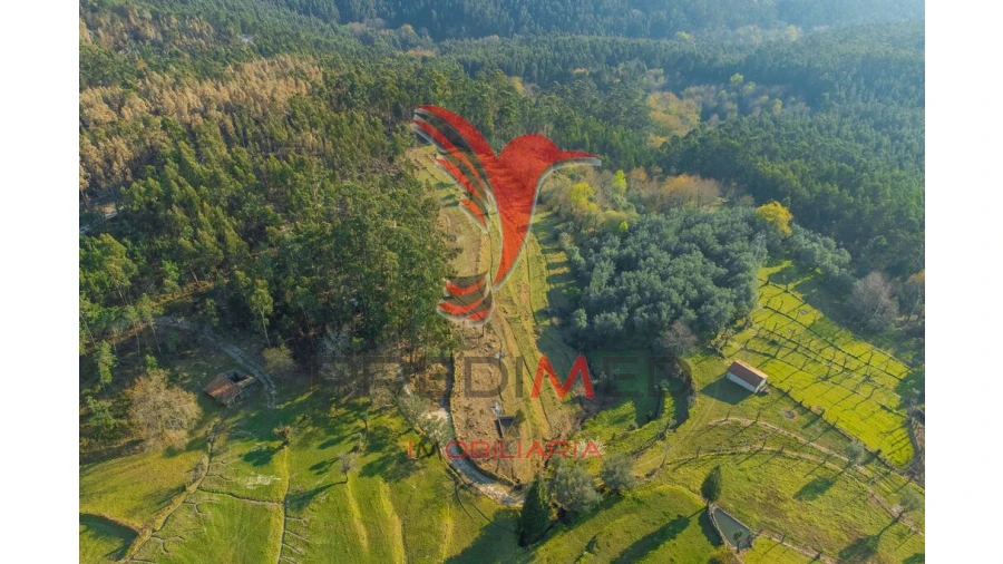 Terreno para Venda em Valdosende Foto 7