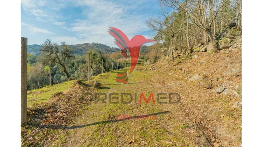 Terreno para Venda em Valdosende Foto 14