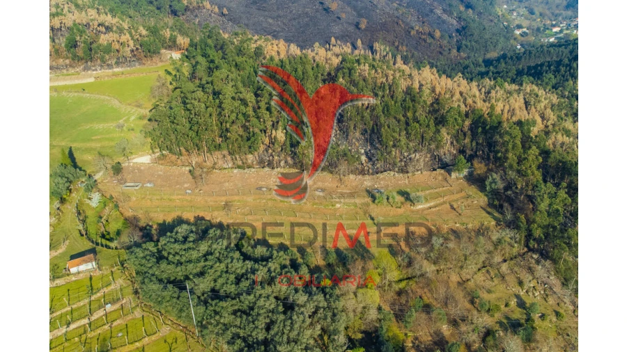 Terreno para Venda em Valdosende Foto 4