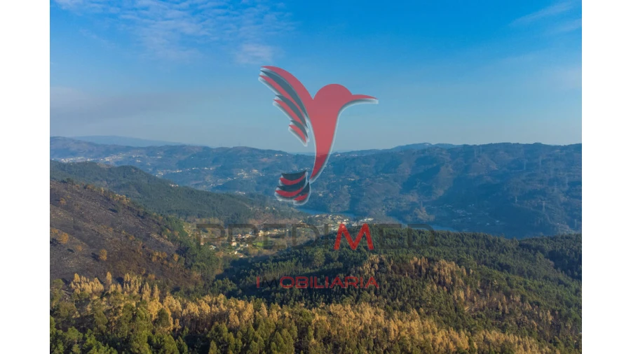 Terreno para Venda em Valdosende Foto 8