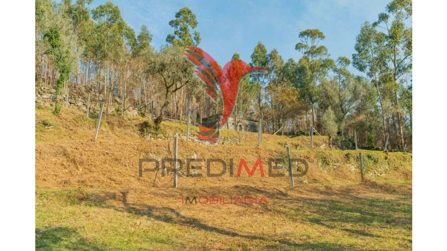 Terreno para Venda em Valdosende Foto 18