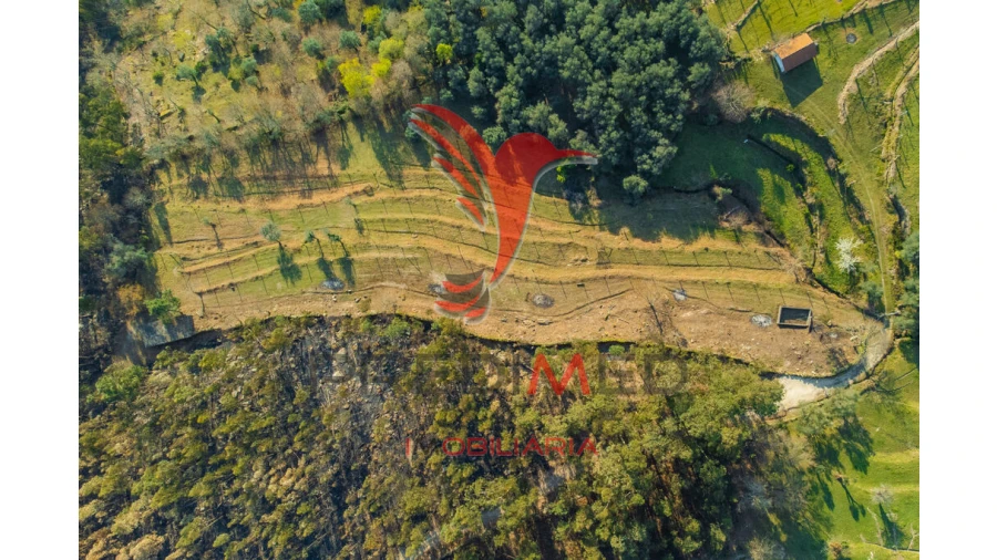 Terreno para Venda em Valdosende Foto 5
