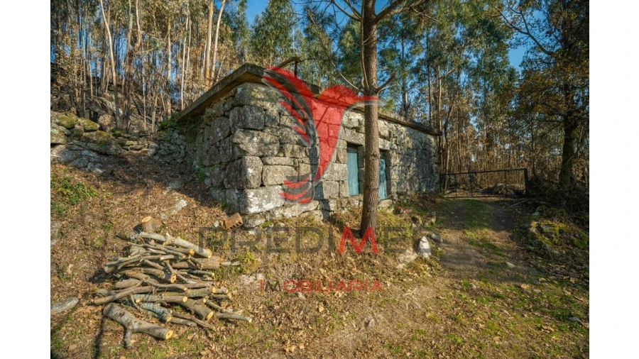 Terreno para Venda em Valdosende Foto 2