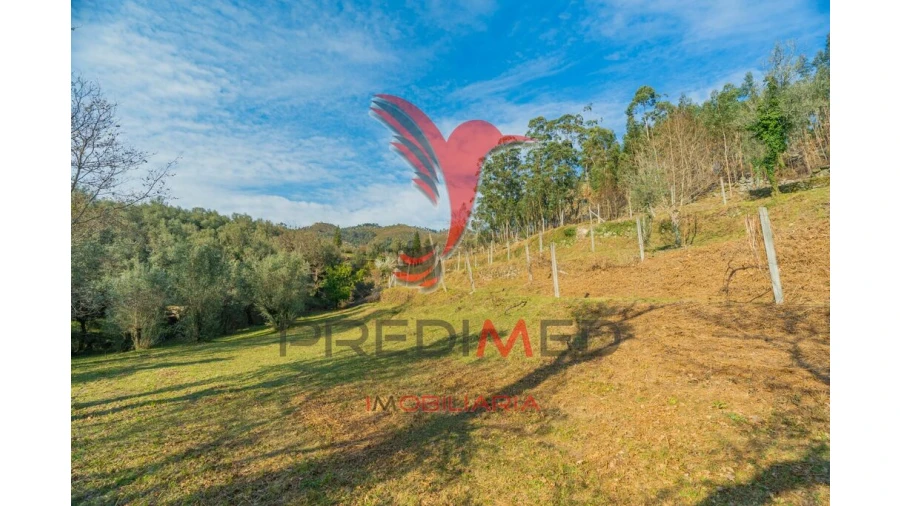 Terreno para Venda em Valdosende Foto 17