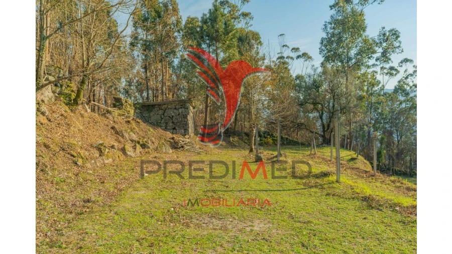 Terreno para Venda em Valdosende Foto 13