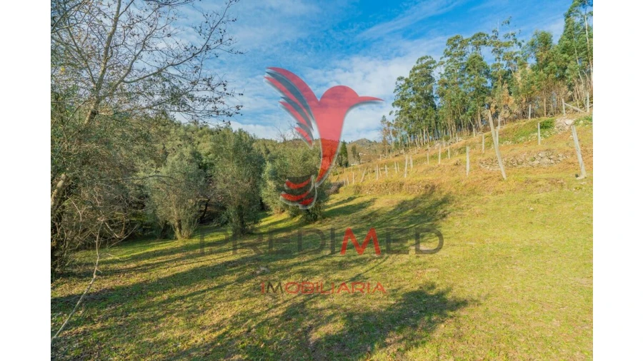 Terreno para Venda em Valdosende Foto 20