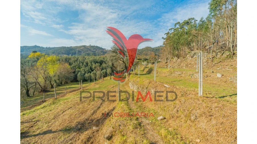 Terreno para Venda em Valdosende Foto 15