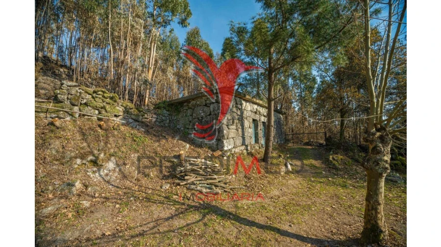 Terreno para Venda em Valdosende Foto 10
