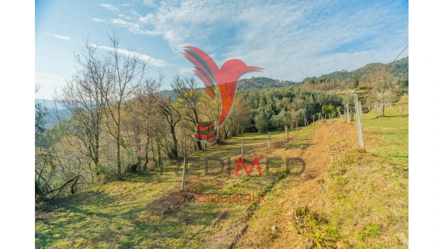 Terreno para Venda em Valdosende Foto 16