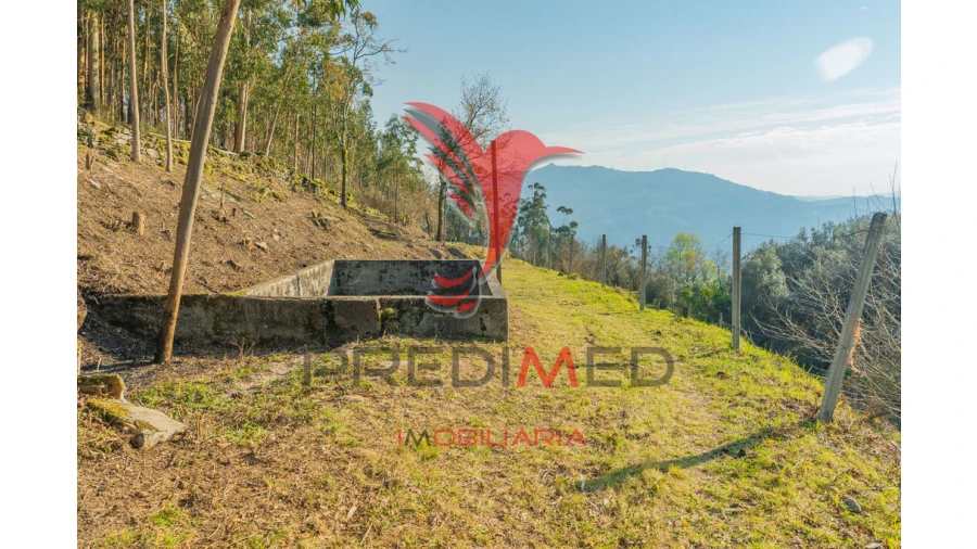 Terreno para Venda em Valdosende Foto 11