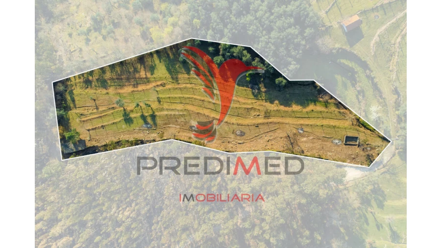 Terreno para Venda em Valdosende Foto 3