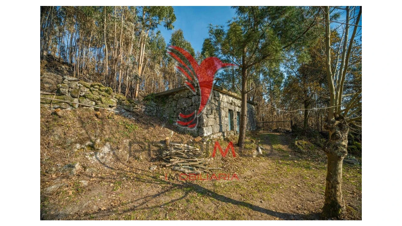 Terreno para Venda em Valdosende Foto 10